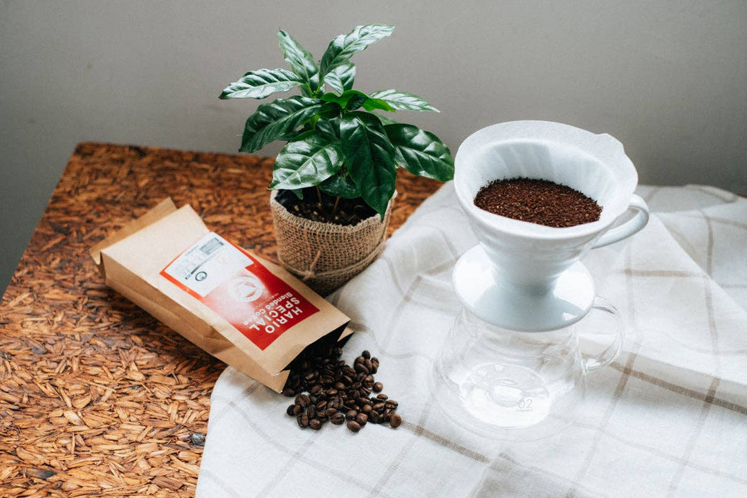 Hario V60 | Coffee Dripper Ceramic
