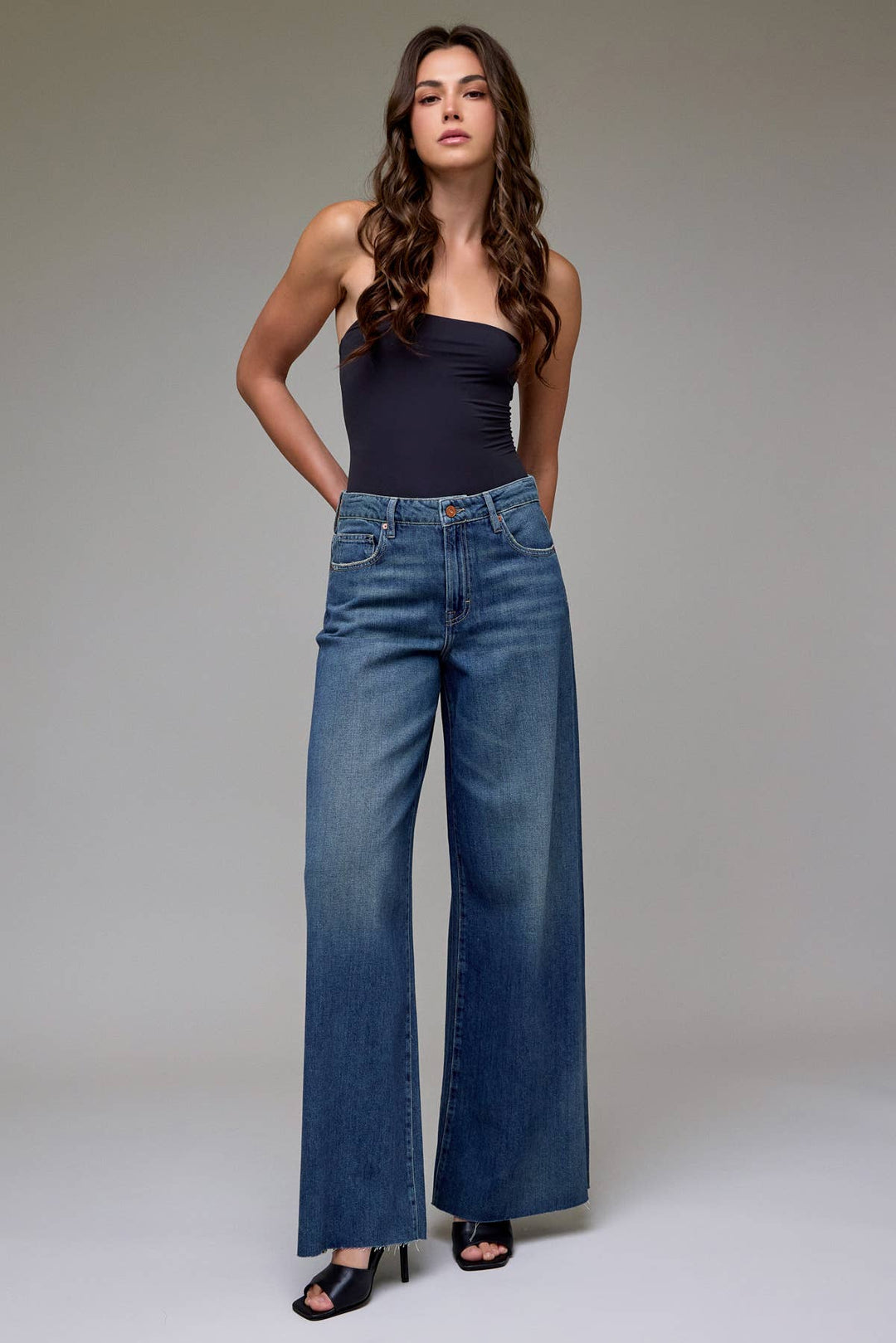 Hidden Jeans | Medium Vintage Clean Super Soft High Rise Super Wide Leg